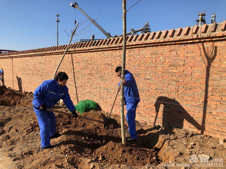 微信图片_20190312170256